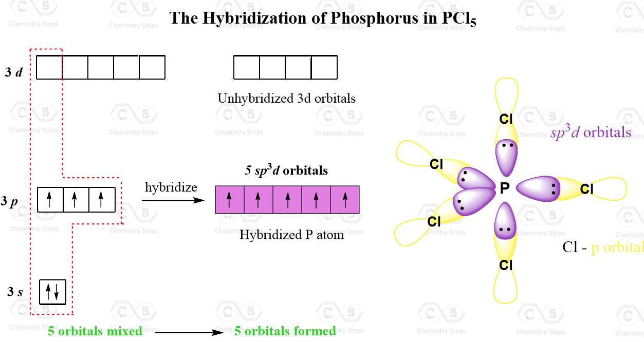 Hybridization And Restriction Enzyme Cleavage Of Different Combinations