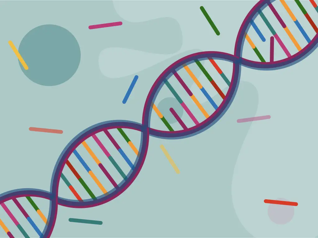 Gene Mutation Pdf Mutation Gene