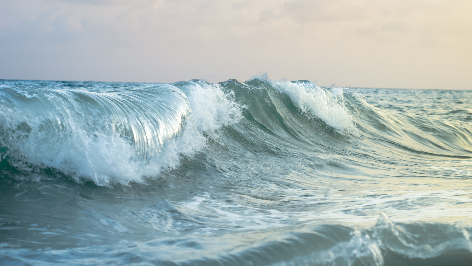 One World Waves Seminar Series Nonlinear Waves And Their Applications