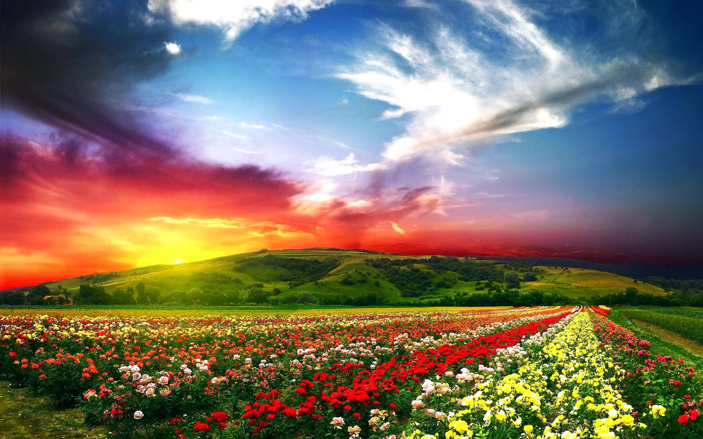 Gambar 1 Diagram Pls Penelitian Download Scientific Diagram