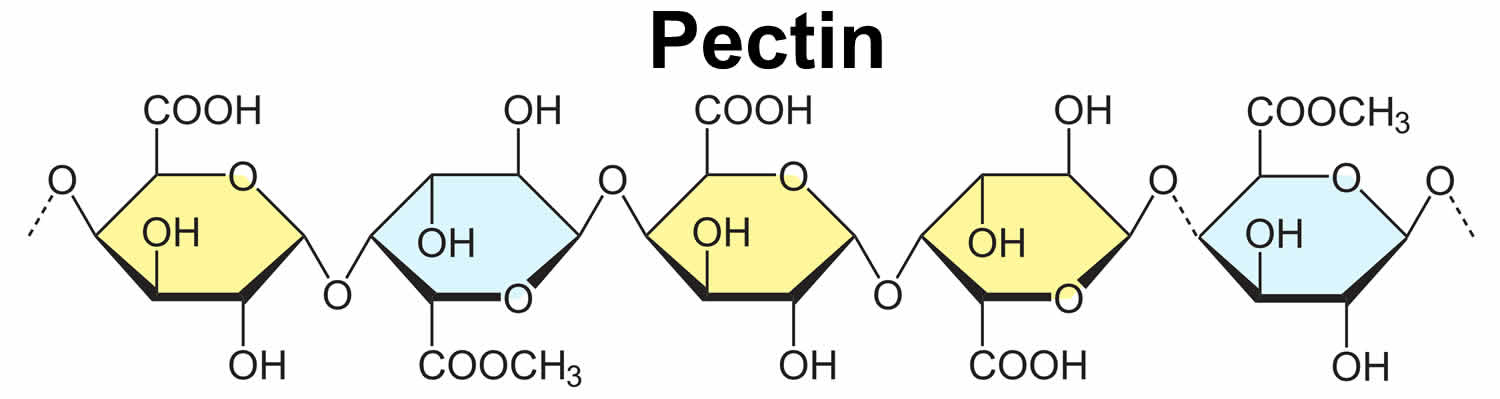 Pectin Polysaccharide Of The Secretory Cavity Cell Wall Monoclonal