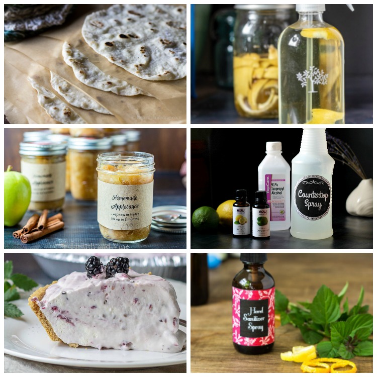 Homemade Biogas Plant Diagram Homemade Ftempo