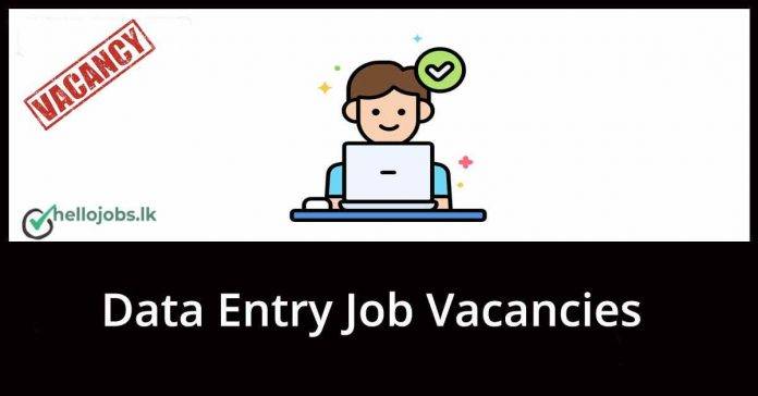 Data Entry Operator Job Vacancies 2024
