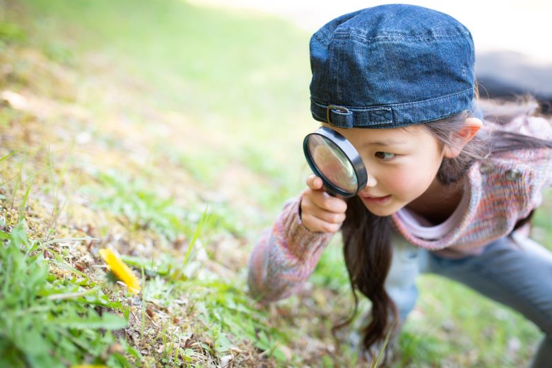 33 Observe The Following Diagram And Answer The Following Questions 3