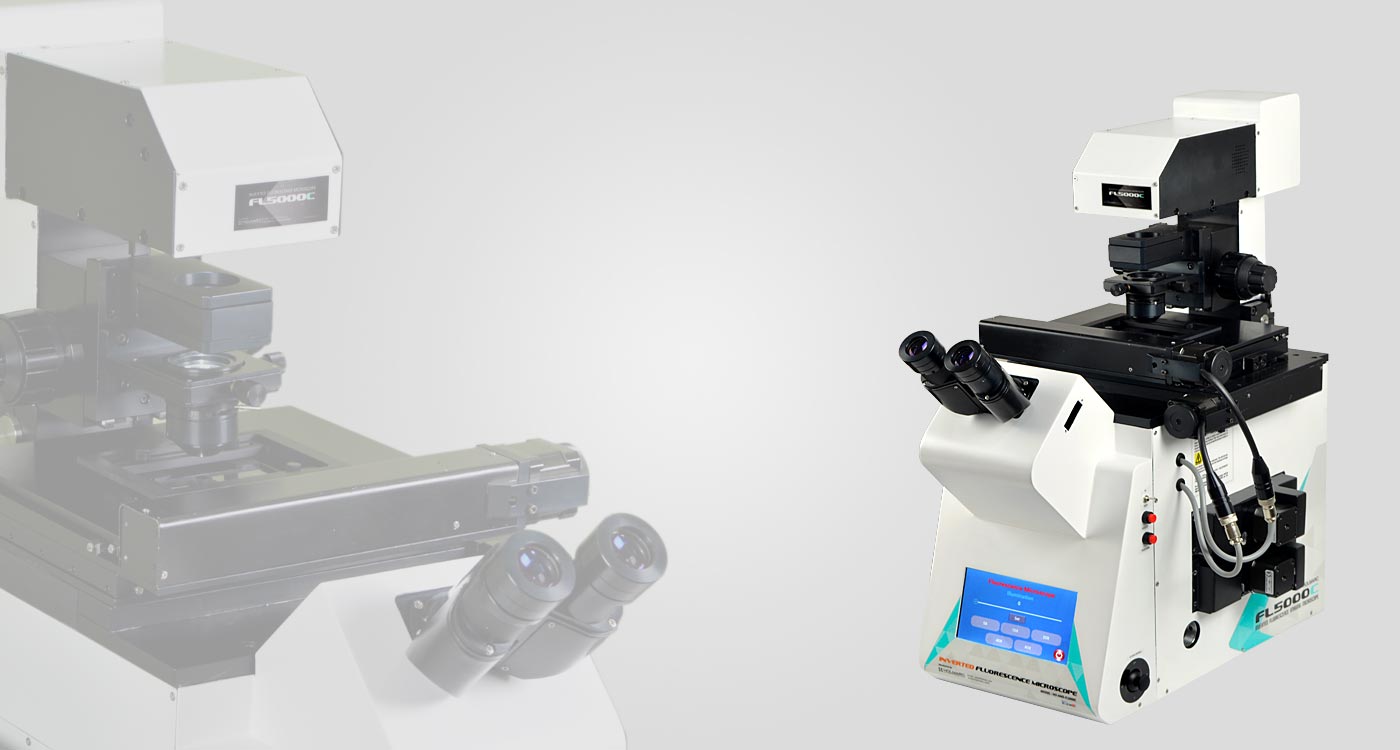 Inverted Fluorescence Microscope