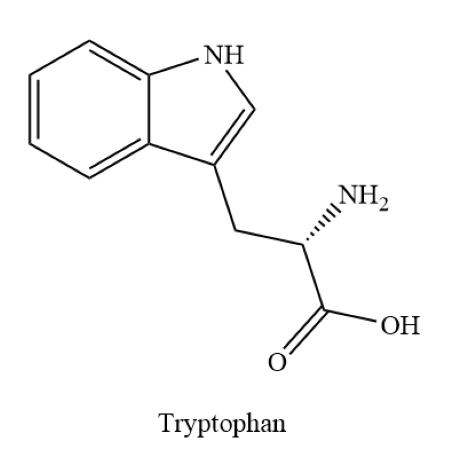 Hydrophobic Portions Of Hydrophilic Amino Acid Side Chains Hydrophobic