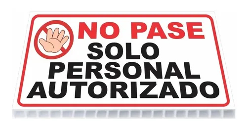 No Rank Radio Playlist By Spotify Spotify