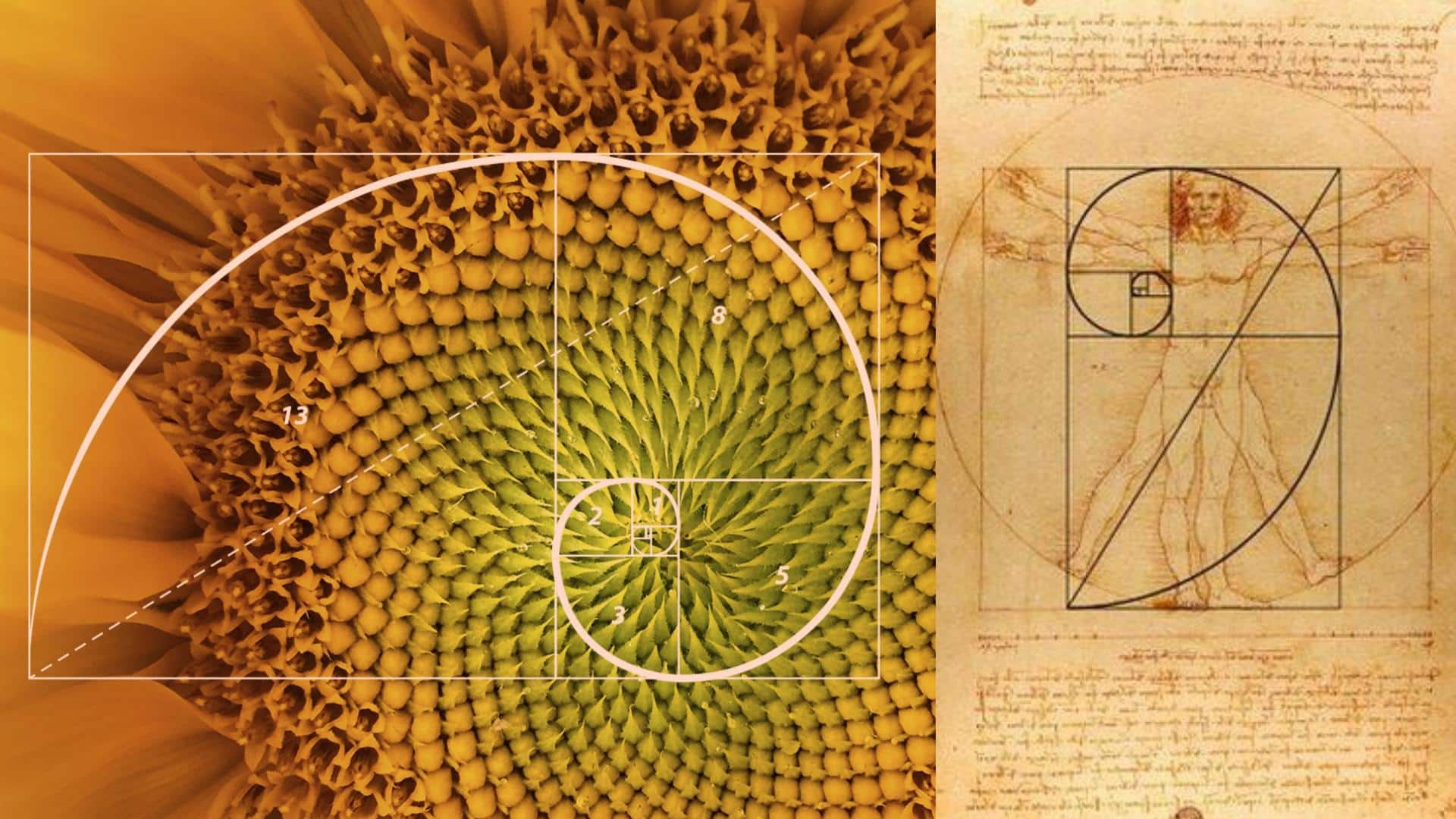 Fibonacci Sequence 1 Pdf