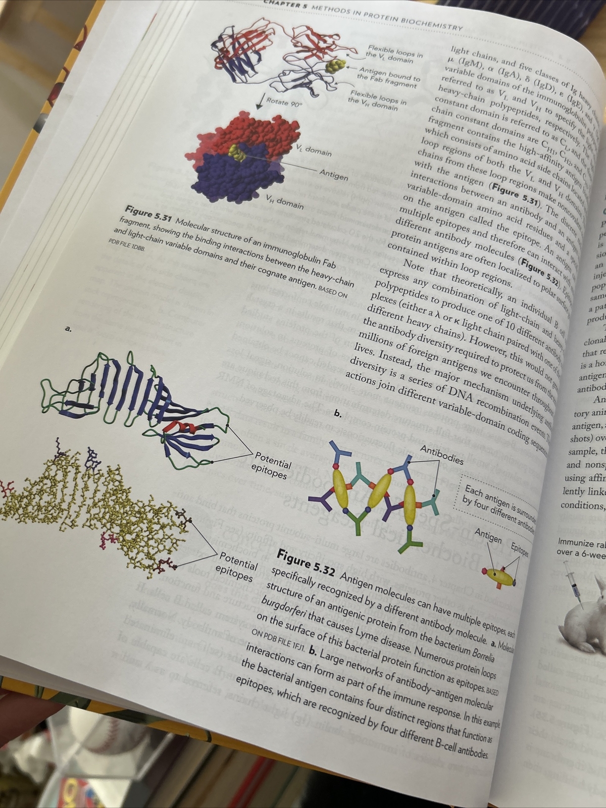 Biochemistry Miesfeld Roger L Mcevoy Megan M 9780393615074