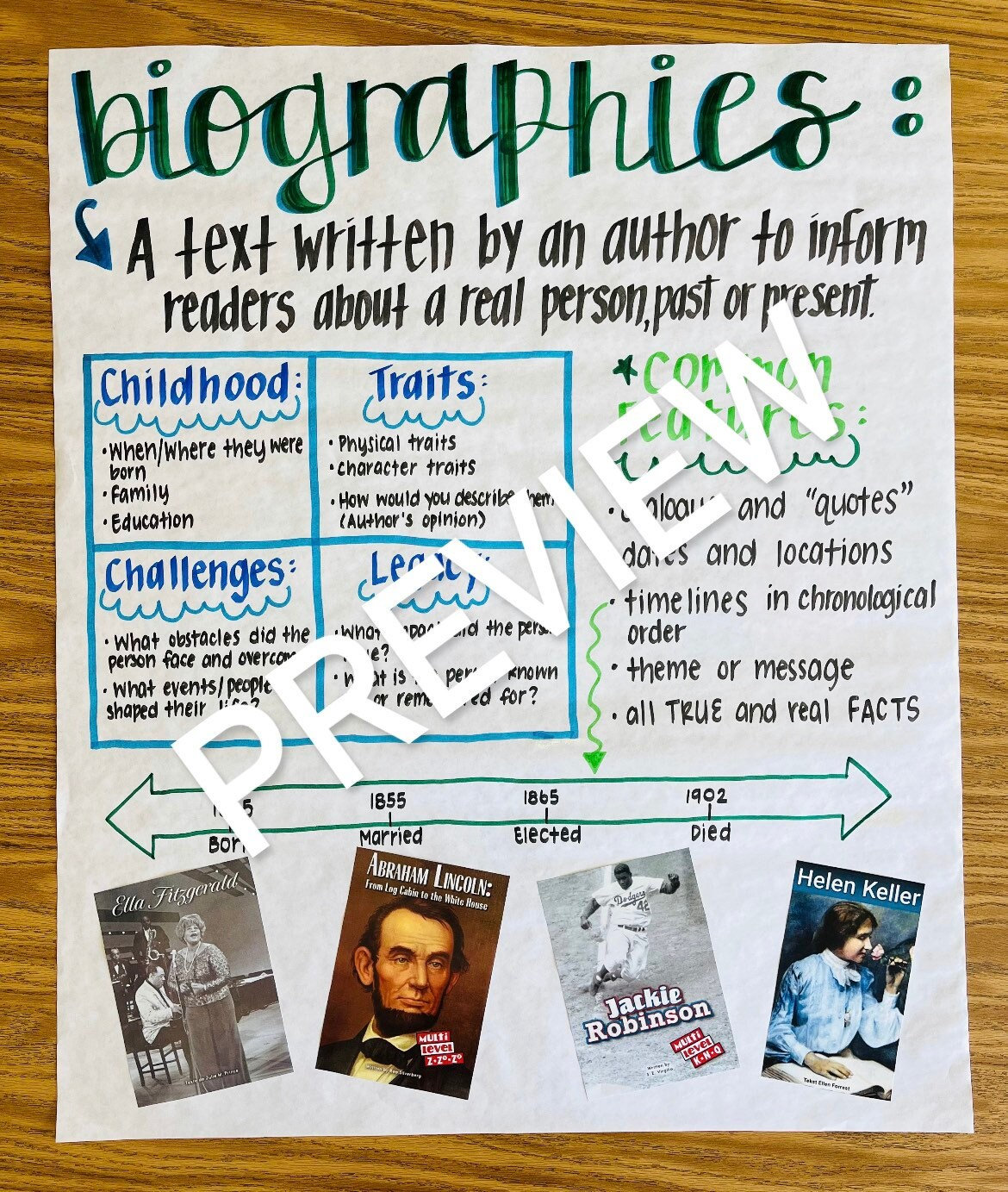 Biography Of Albert Einstein Theoretical Physicist