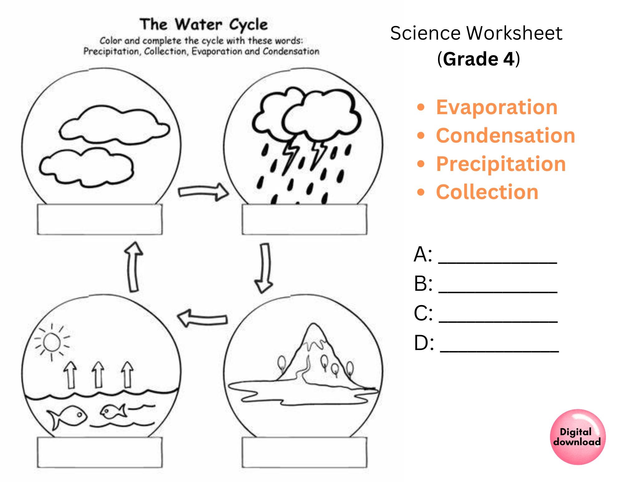 Grade 4 Water Cycle Activity Sheet Pdf