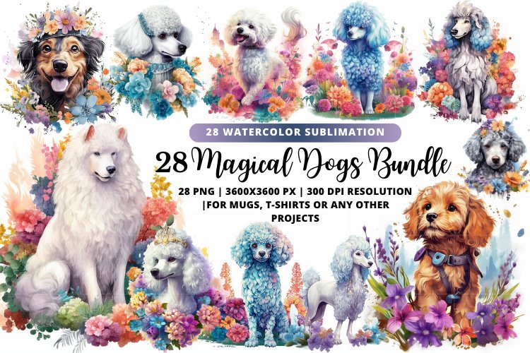 Characteristics Of 28 Dogs With Ucc And Comparison Of Those Between