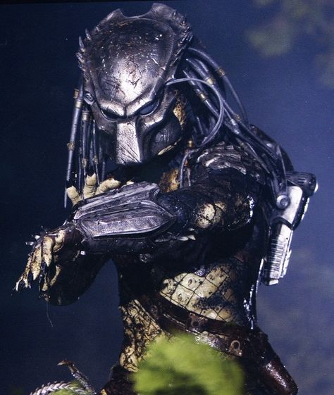 Predator Avoidance Behavior