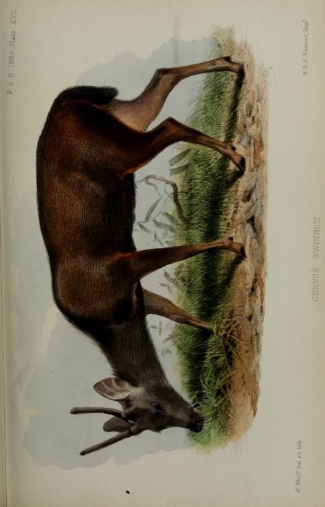 1884 Proceedings Of The Zoological Society Of London Biodiversity