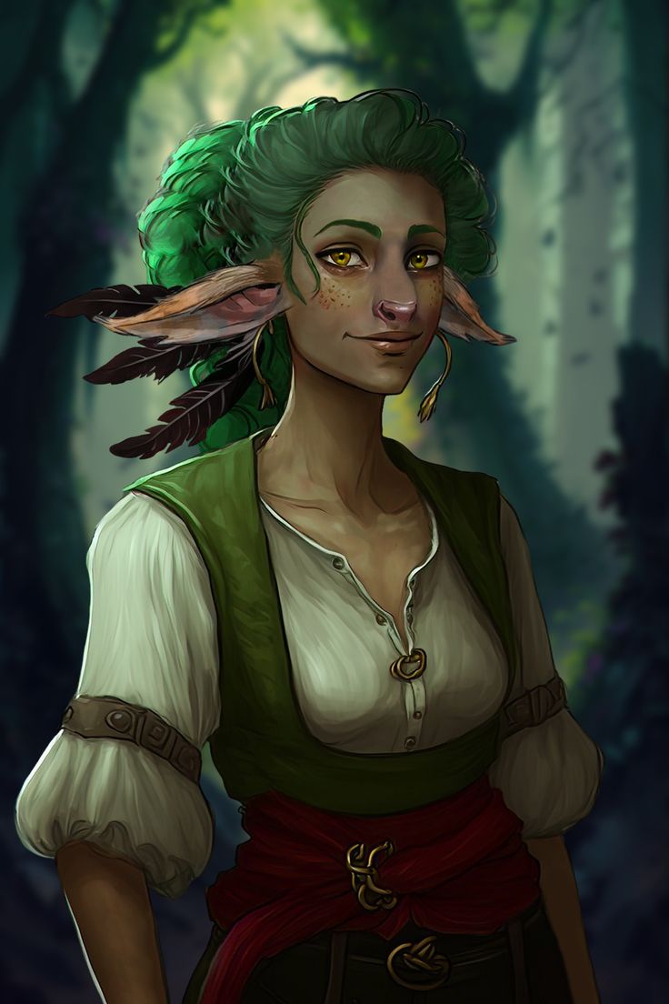 Rf Firbolg Tempest Cleric And Autumn Eladrin Druid Rcharacterdrawing