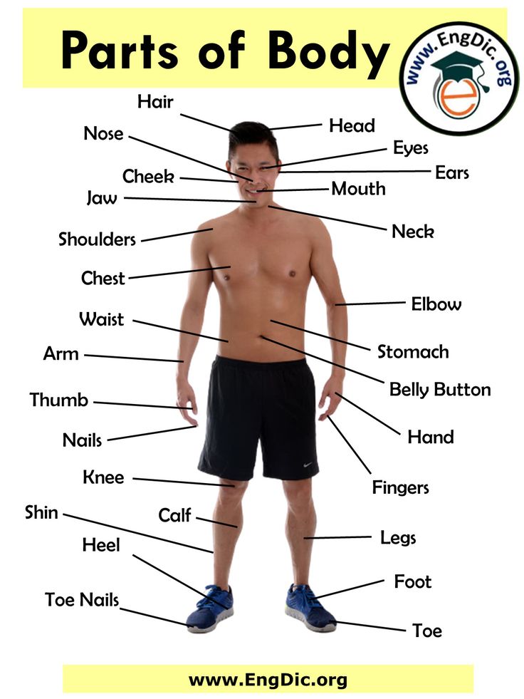 0 13 A Body Of Mass 5kg Moves Along The X Axis With A Velocity Of 2ms
