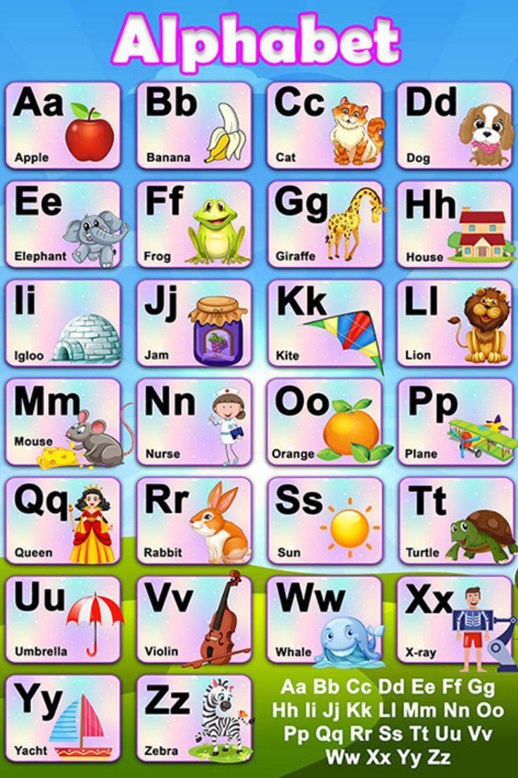 d letter alphabet 
