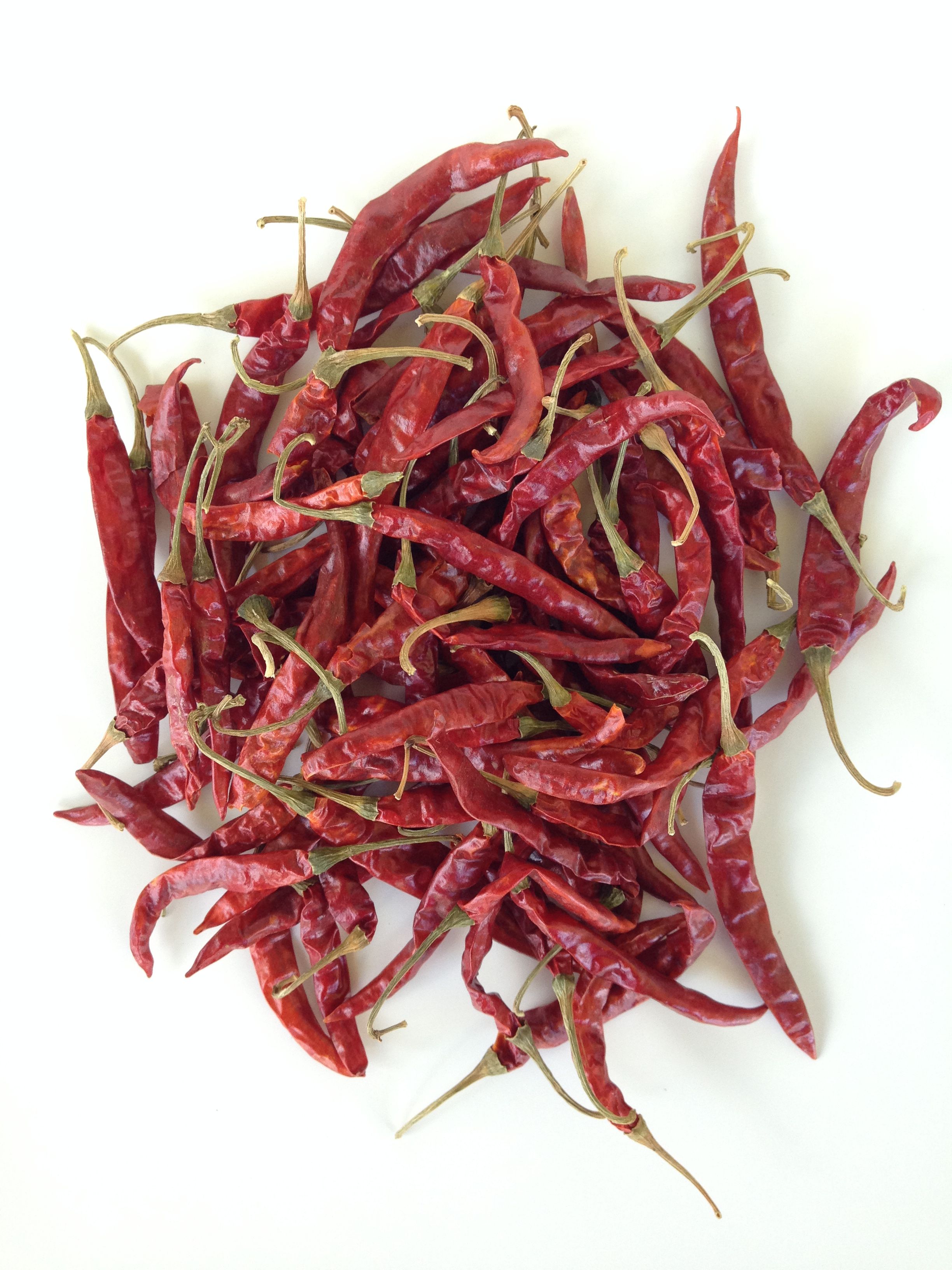 Chile Interviene En Fase Oral De La Opinion Consultiva Solicitada A La