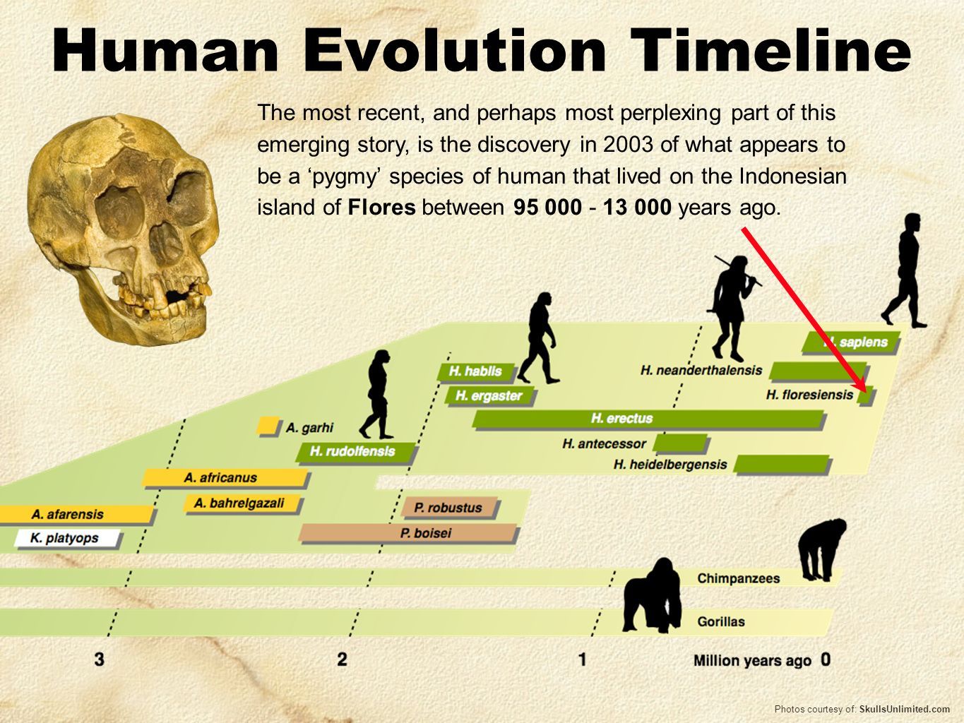 Evolution Of Resistance And Growth Traits A At Several Time Points