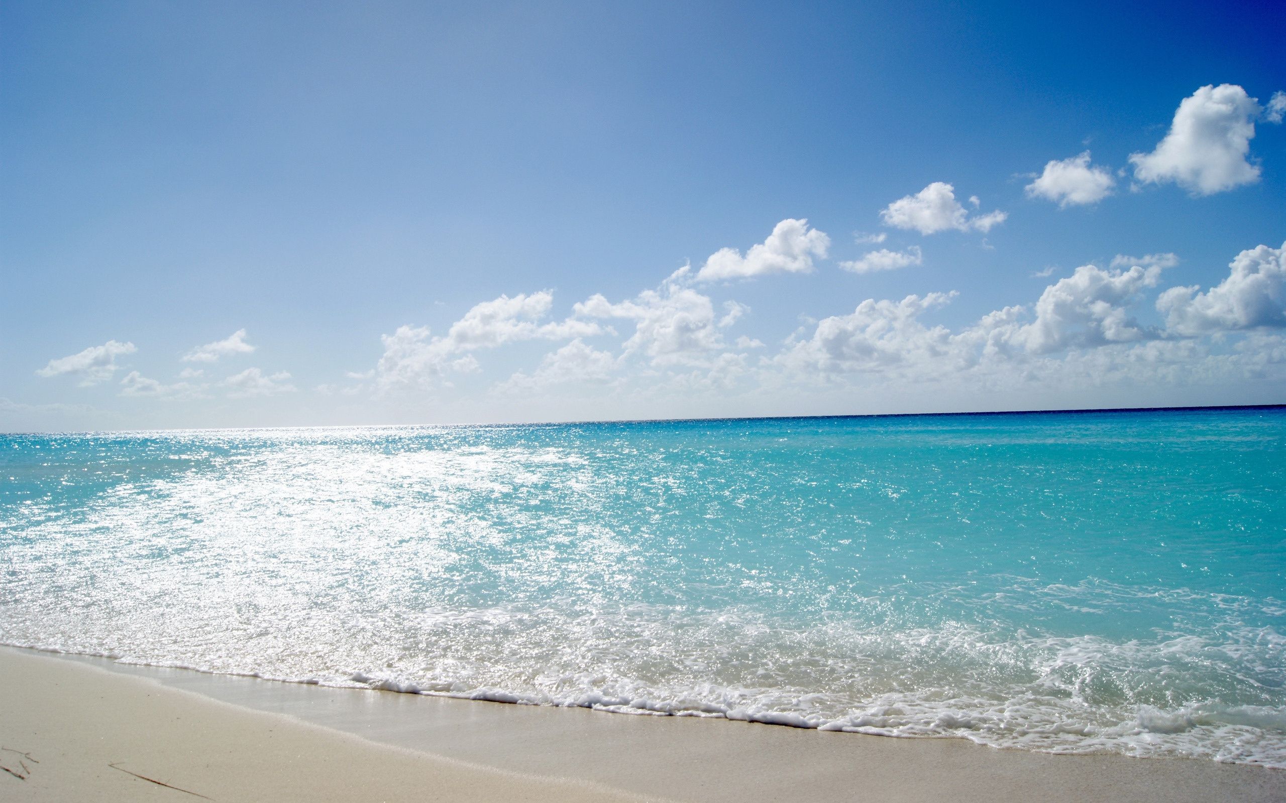 Sea Phages Sea Phages Phage Discovery Guide Is Online