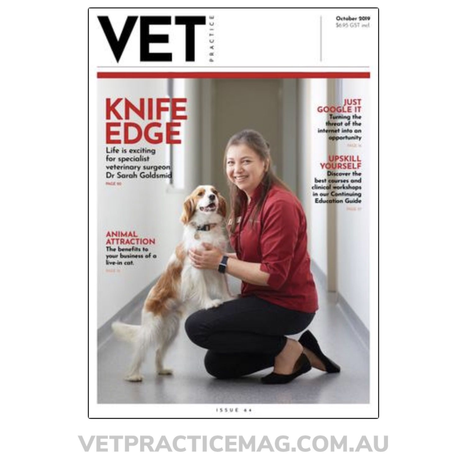 Targeting Bacterial Motility To Combat Disease Vet Practice Magazine