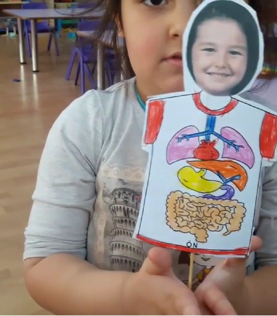 Manualidadesconmishijas El Sistema Respiratorio Y Digestivo Para