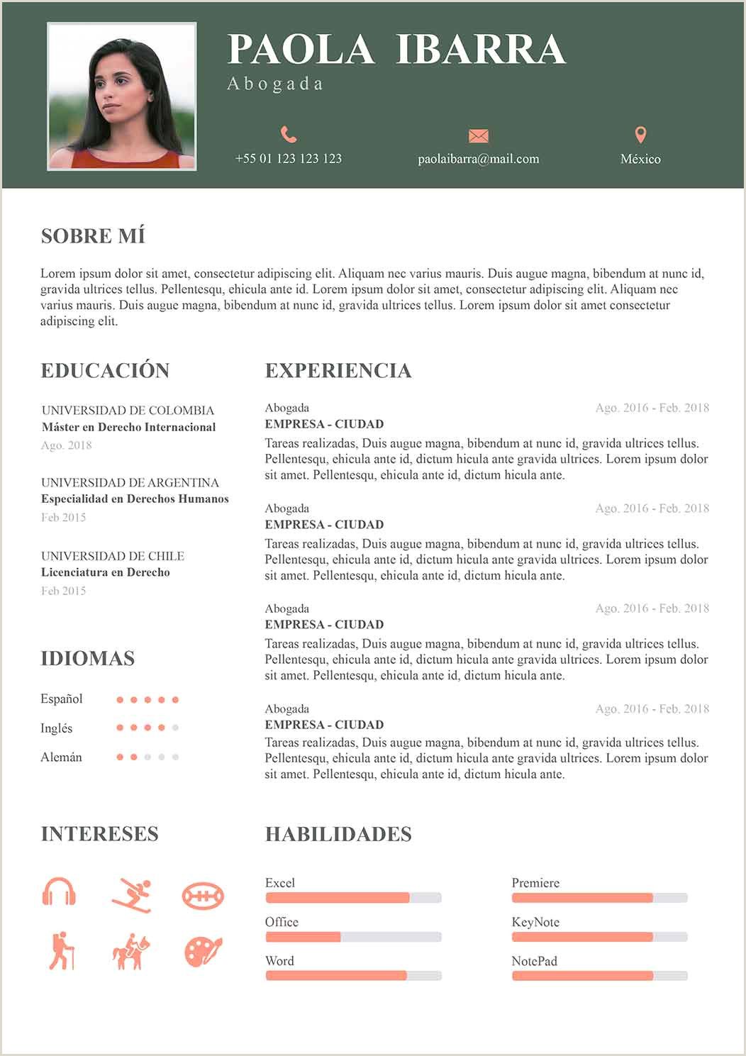 Ejemplos De Cv En Word Gratis