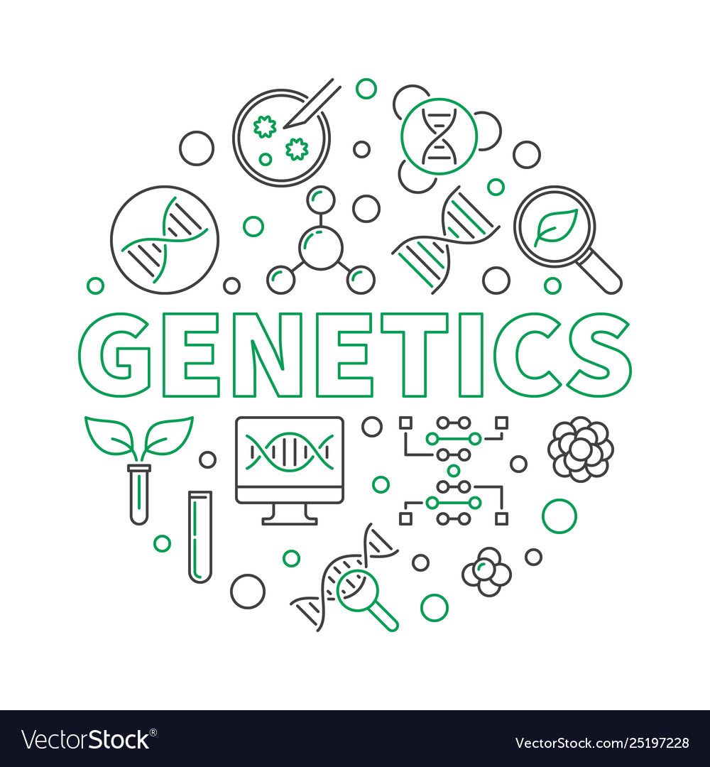 Genetic Variation Drawing