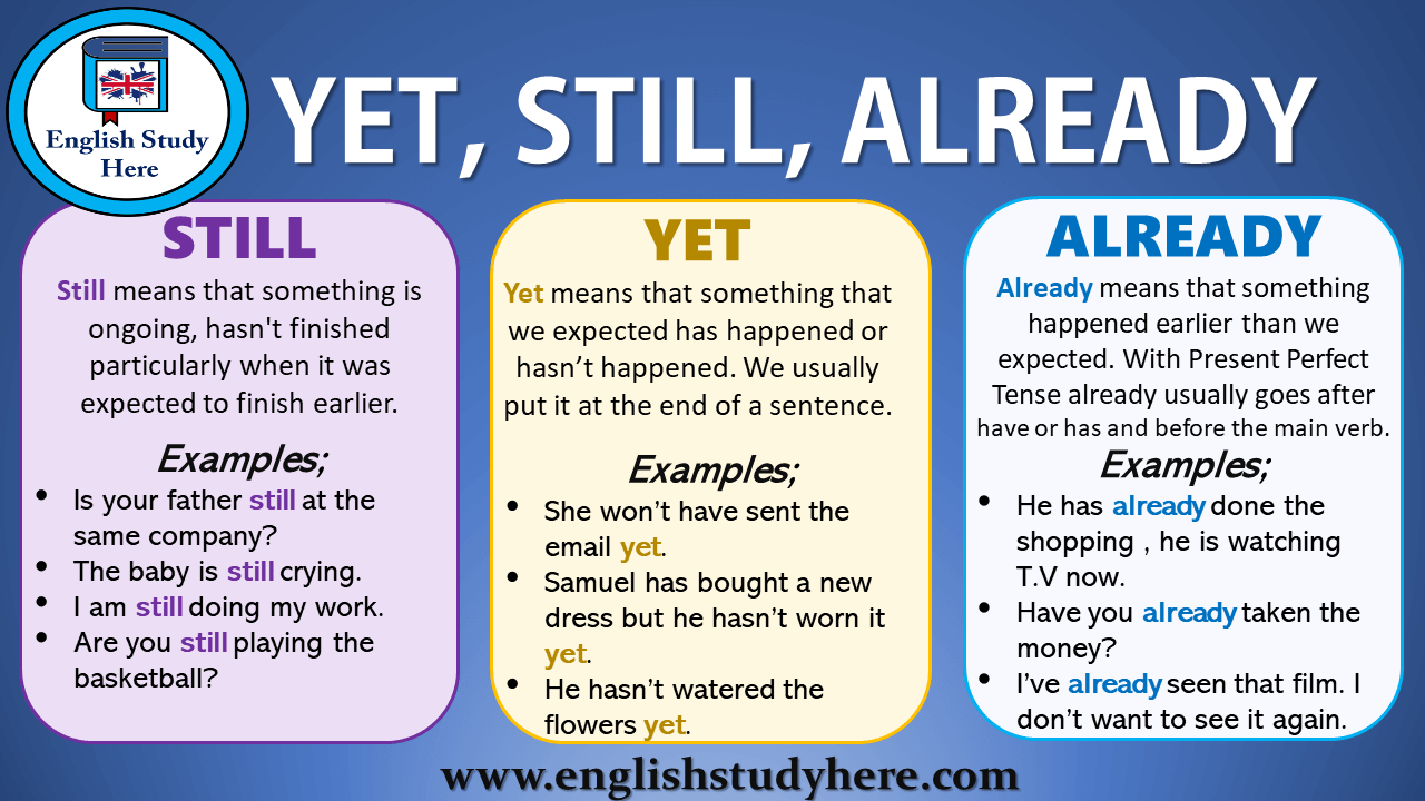 Simple Yet Sophisticated Greycabinets Looks Like You Have Stepped Into