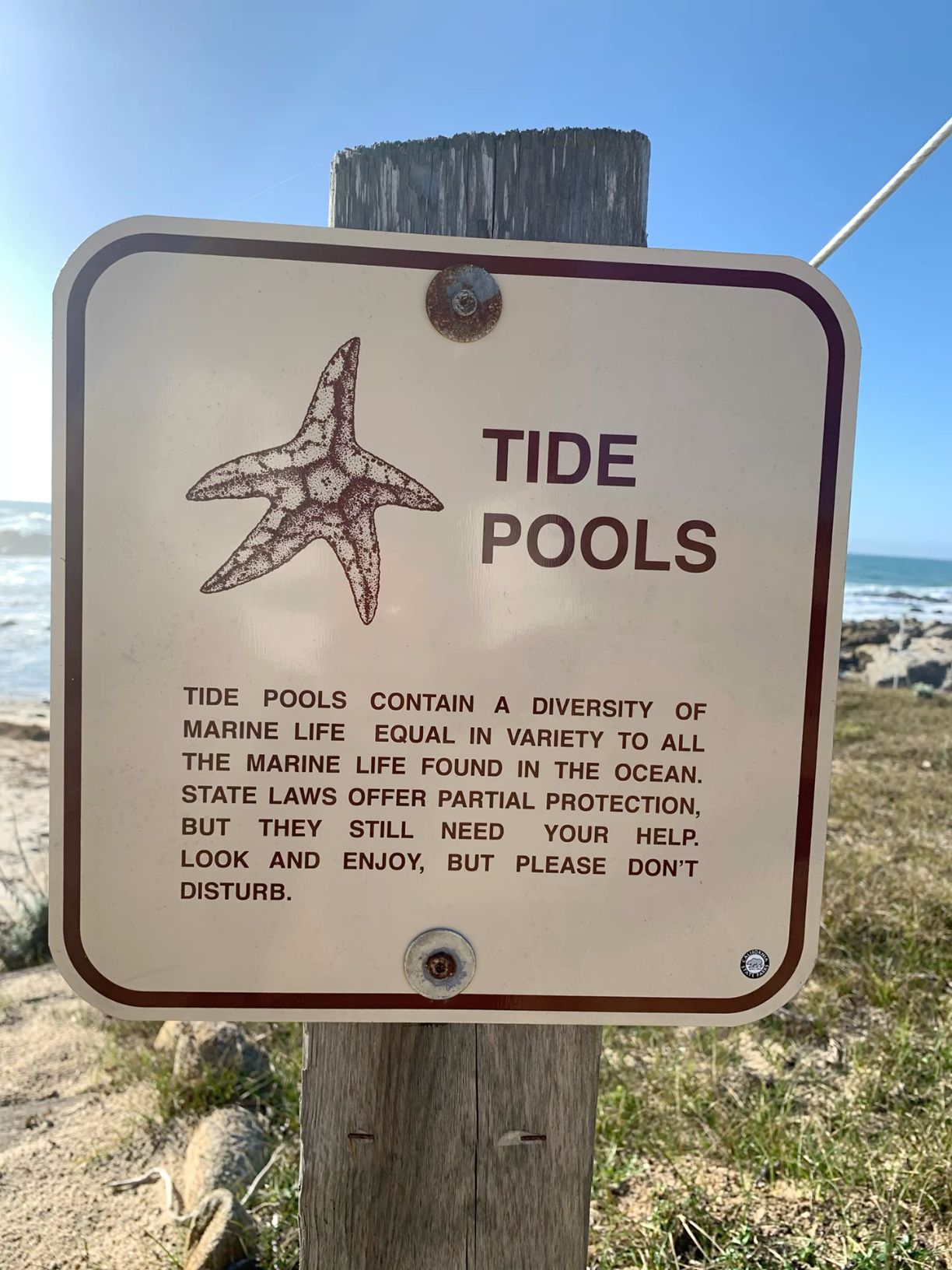 The Biological Bulletin Biology Zoology Marine Biology T S Thick