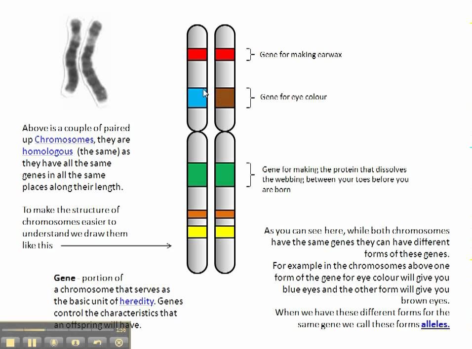 Genes Superimposed By Multiple Datasets Download Scientific Diagram