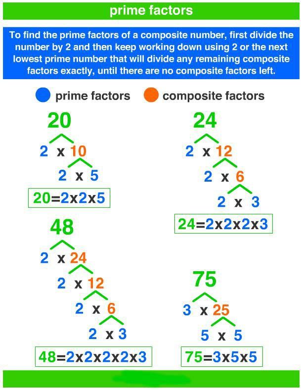 Prime Factors Of 346