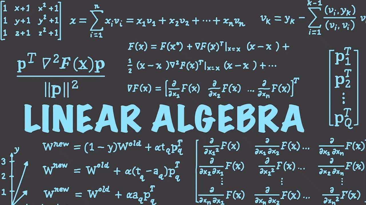 What Is Linear Algebra What Is Vector Vector Spaces Lecture Notes