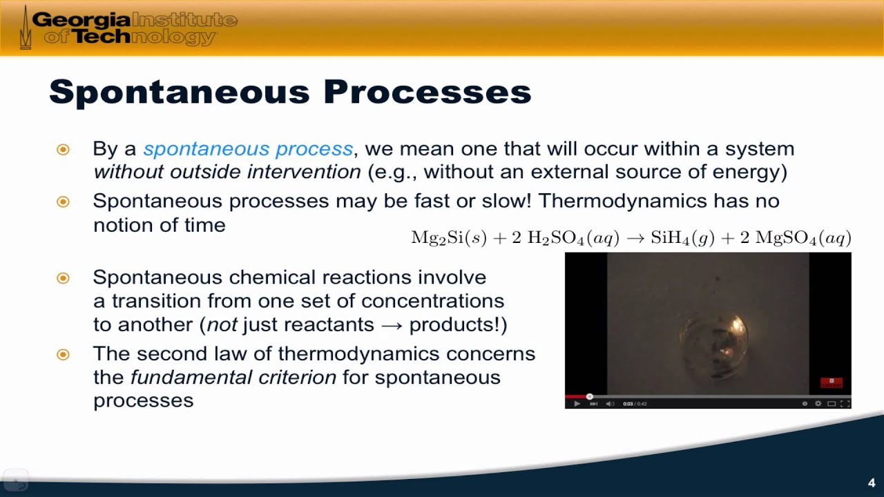 Spontaneous Firing Rate Is Bidirectionally Regulated By Camkiv
