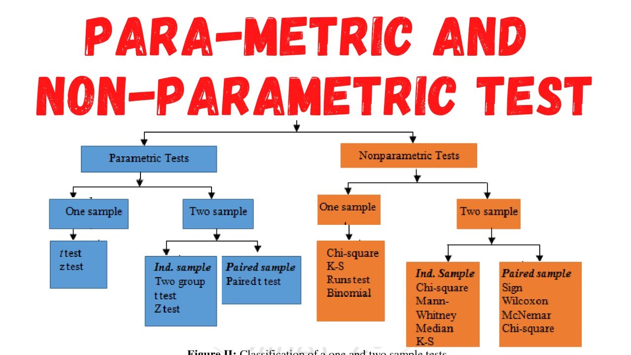 Parametric Vs Nonparametric Meaning And Differences