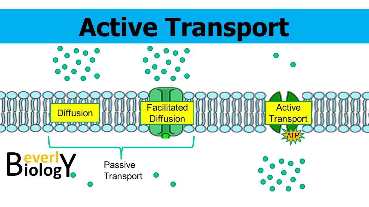 Active Vs Reactive Vs Apparent Power Learn The Differences