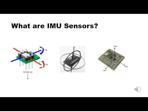 Imu Gorosei Devil Fruits Revealed One Piece Chapter 1085 Explained