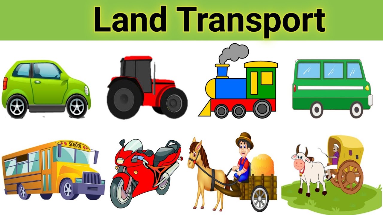 3 Transport In Plants Ch 35structure Ch 36function