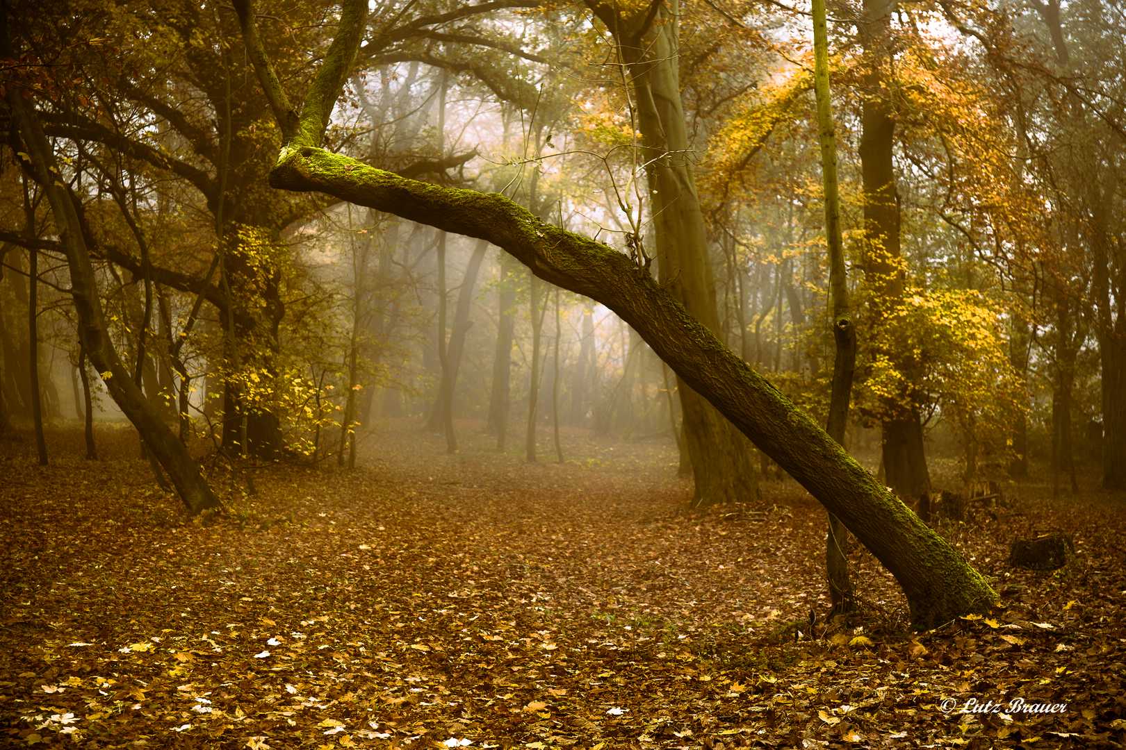 Kalender 2025 Stimmungen