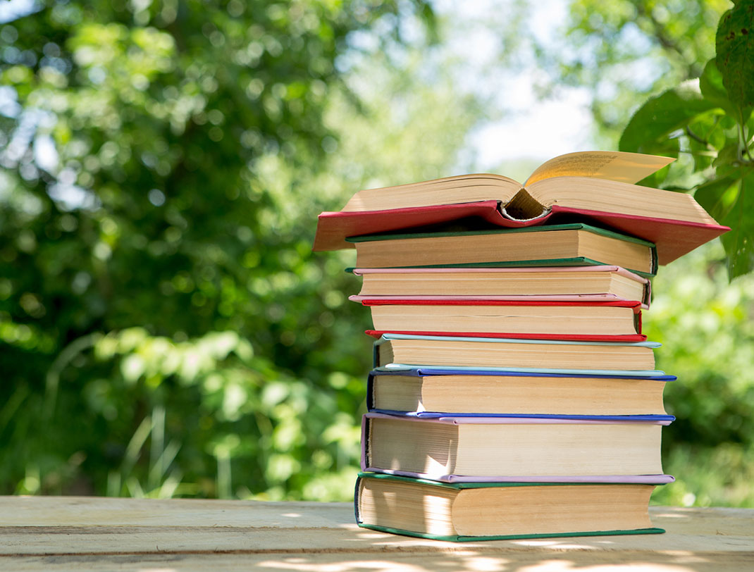 Book Meesha Makes Friends Industry Co Kids