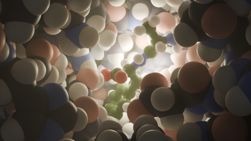 Expediting Evolution Elife Science Digests Elife