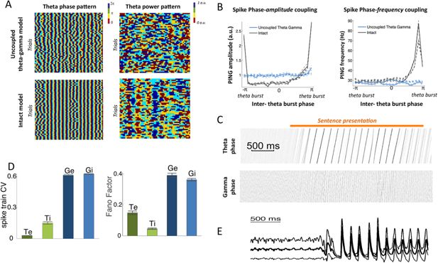 Rhythmic Modulation Of Theta Oscillations Supports Encoding Of Spatial