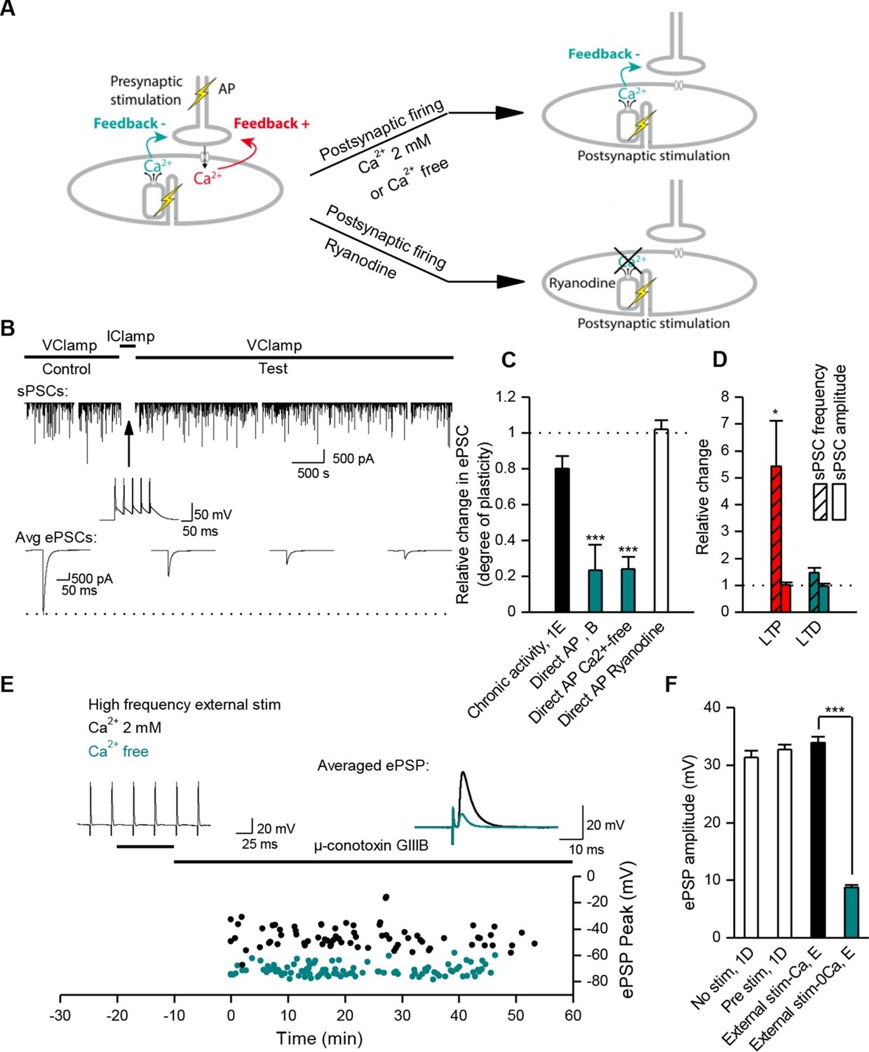 Stabilising Influence Integrins In Regulation Of Synaptic Plasticity