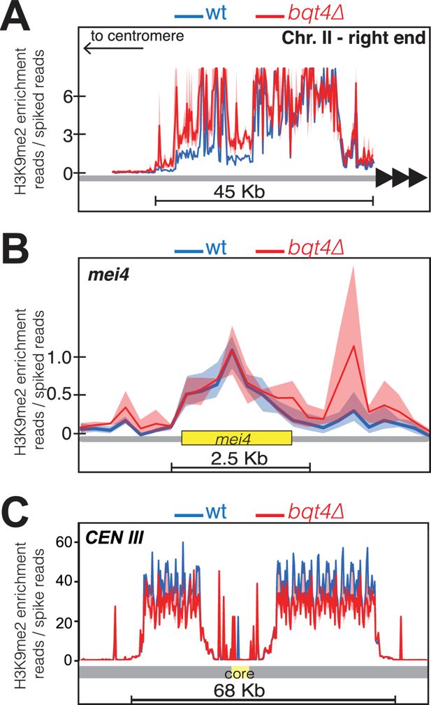 H3k9me Defines Pericentric Boundaries While Canonical Rnai Inhibits