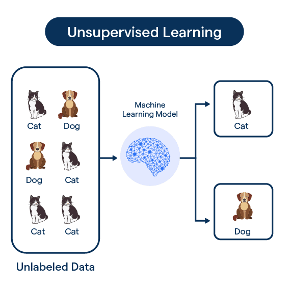 Unsupervised Learning Algorithms Machine Learning Series For Beginners