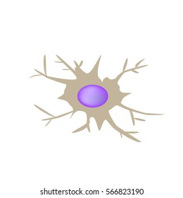 Dendritic Cell Vector Royalty Free Images Stock Photos Pictures