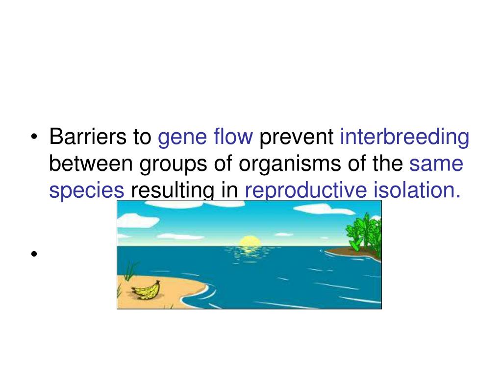 Reproductive Isolation Stock Illustrations 66 Reproductive Isolation