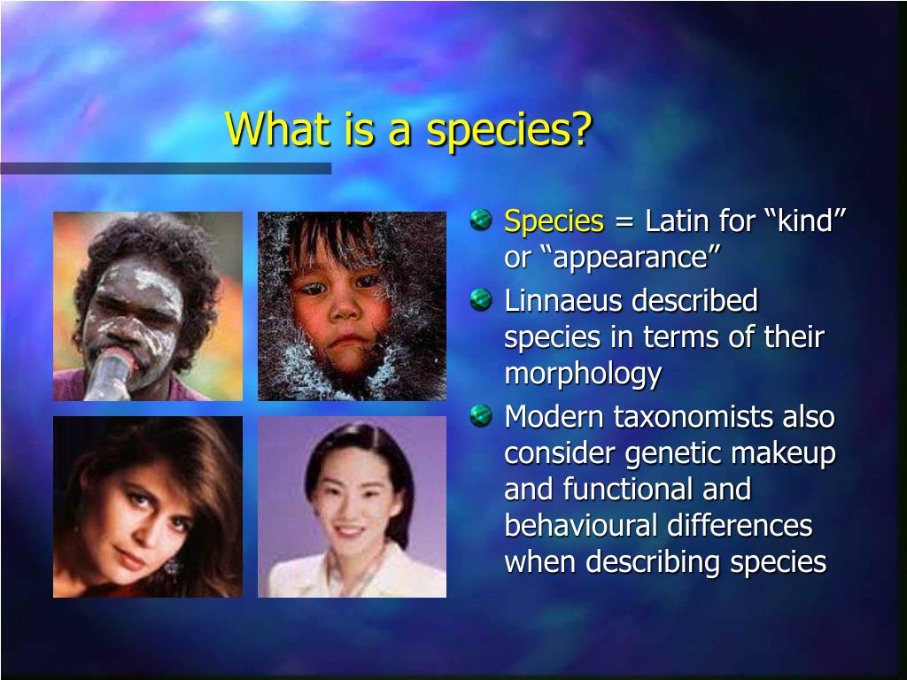 What Is Species Diversity Examples Threats Conservation