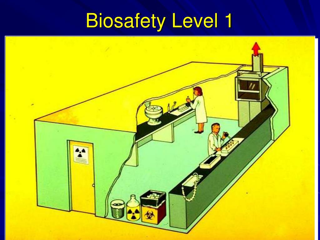 Biosafety Levels Pdf Self Improvement Wellness