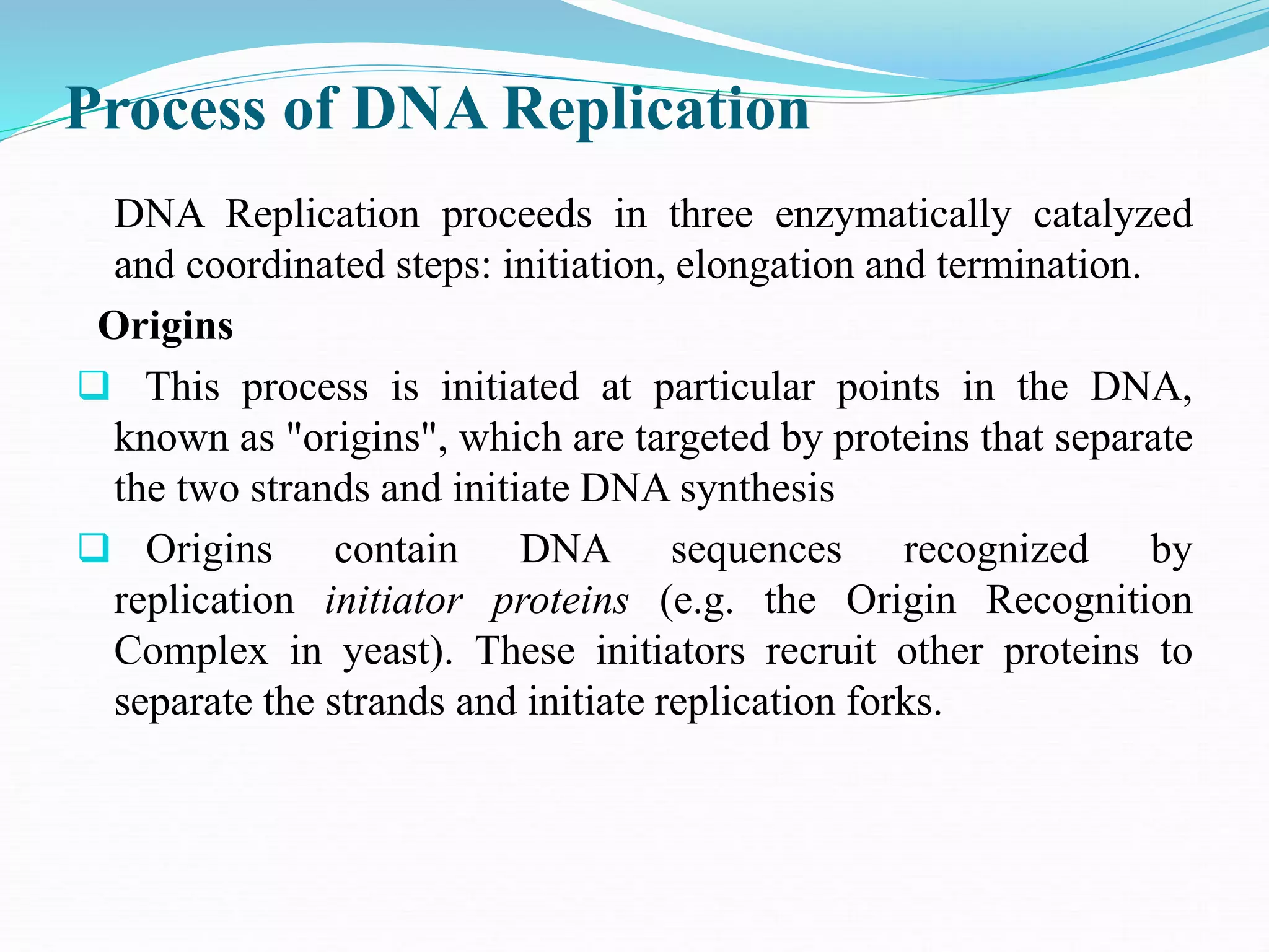 Initiation Of Eukaryotic Dna Replication Eukaryotic Dn Open I